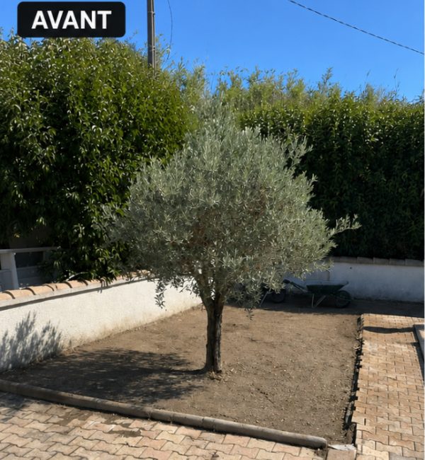 terrassement_istres